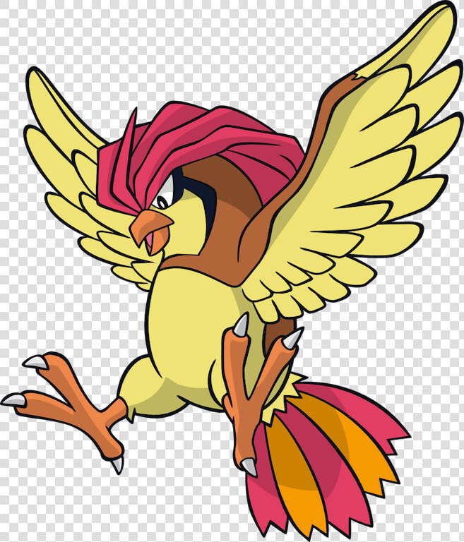 Pidgeot Pokémon Wiki Fandom Powered By Wikia   Pokemon Pidgeotto Dream World  HD Png DownloadTransparent PNG