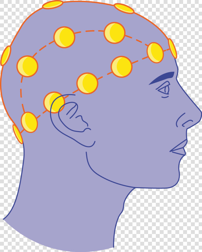 Eeg   Electroencephalogram Eeg Png  Transparent PngTransparent PNG