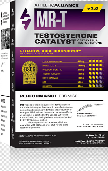 Mr t   Mr T Testosterone Catalyst  HD Png DownloadTransparent PNG