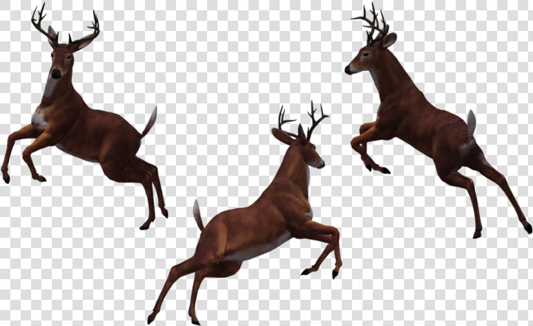 Buck 10 By Free Stock   Jumping Deer Silhouette  HD Png DownloadTransparent PNG