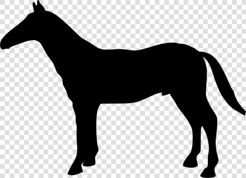 Airedale Terrier Silhouette  HD Png DownloadTransparent PNG