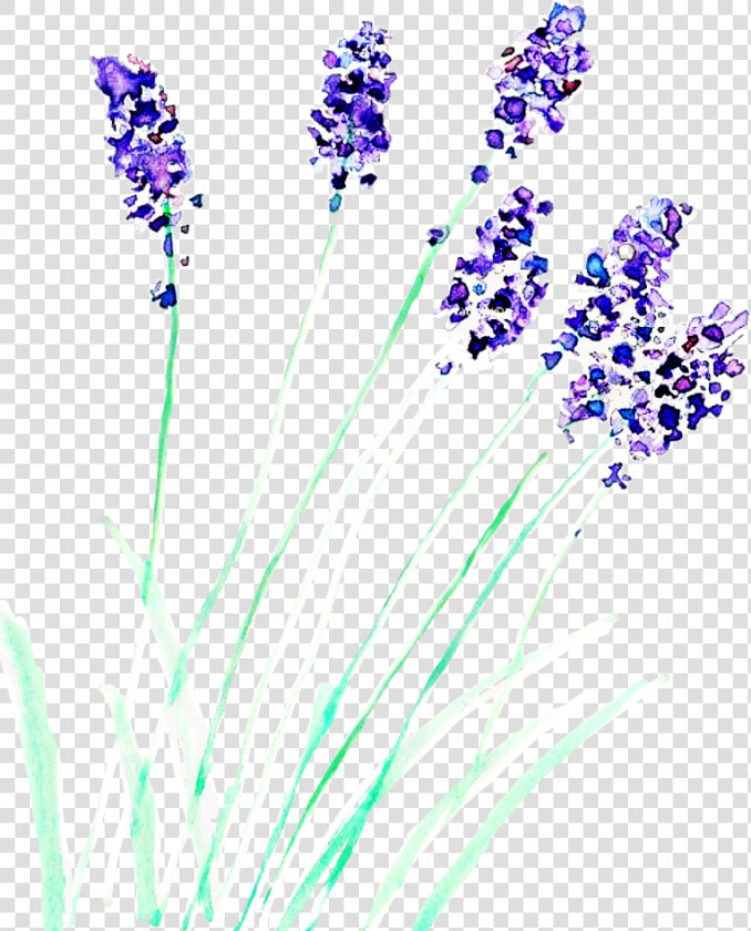  watercolor  watercolorstickers  flower  lavender  freetoedit   Watercolor Painting  HD Png DownloadTransparent PNG