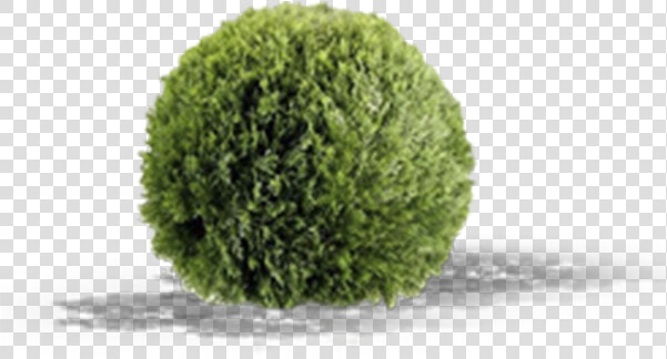 Artificial Topiary Bushes  HD Png DownloadTransparent PNG