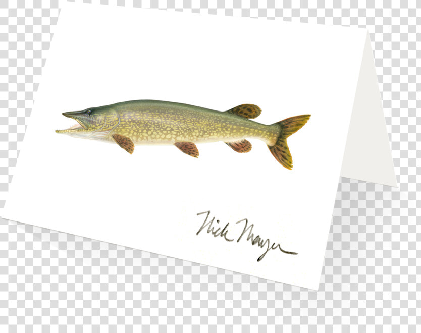 Northern Pike   Lunge  HD Png DownloadTransparent PNG