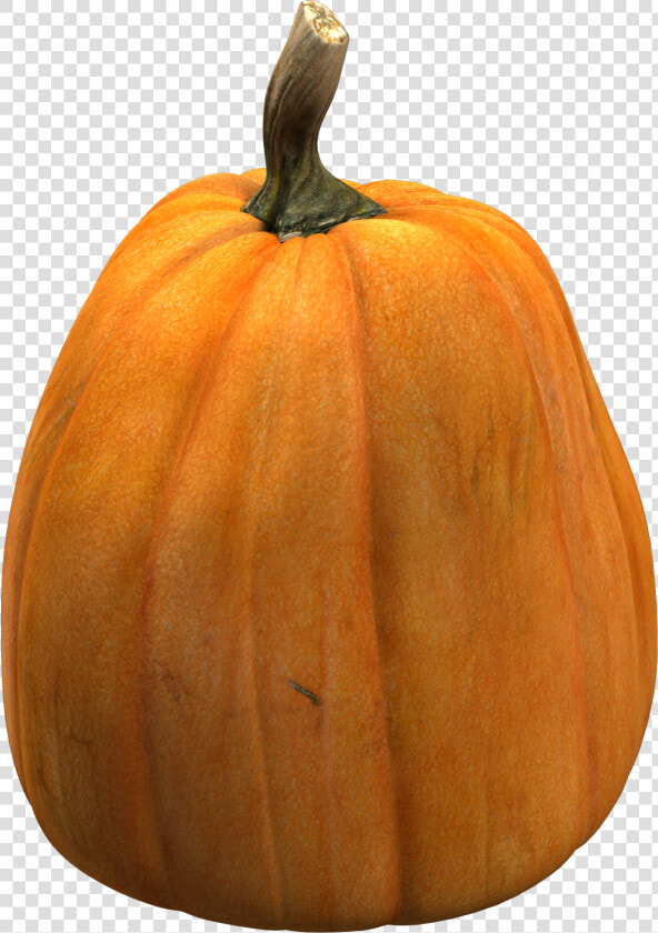 Calabaza Halloween Fotorecurso   Pumpkin  HD Png DownloadTransparent PNG