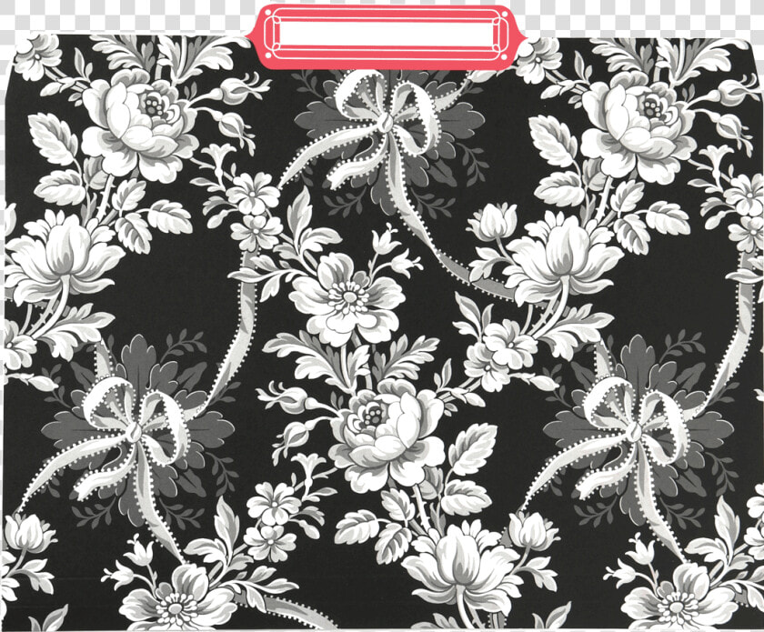 Chrysanths  HD Png DownloadTransparent PNG