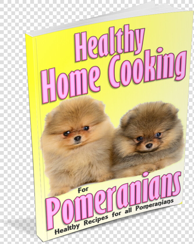 Pomeranian  HD Png DownloadTransparent PNG