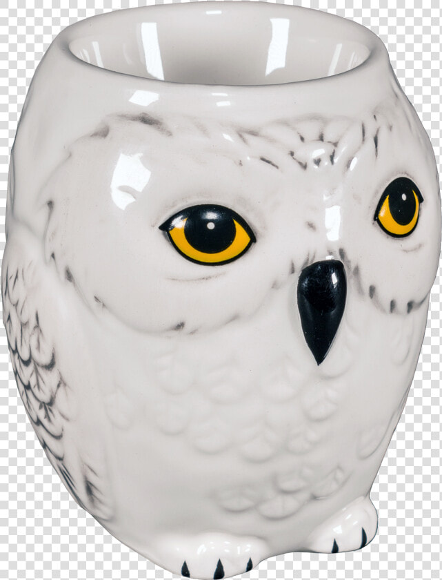 Hedwig Png  Transparent PngTransparent PNG