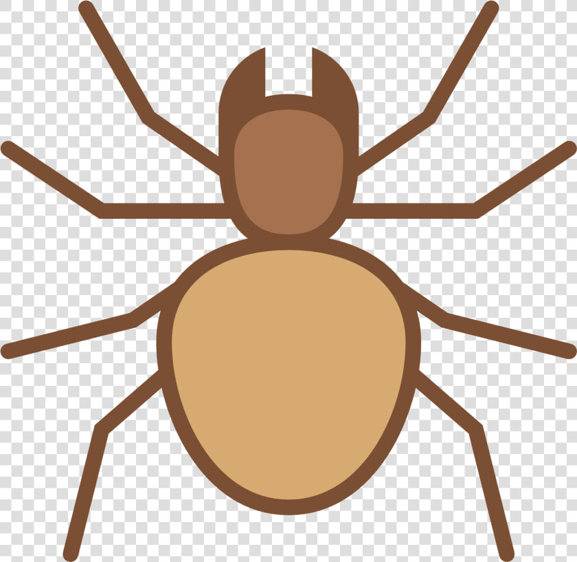 Transparent Colorful Spiders Clipart   Weevil  HD Png DownloadTransparent PNG