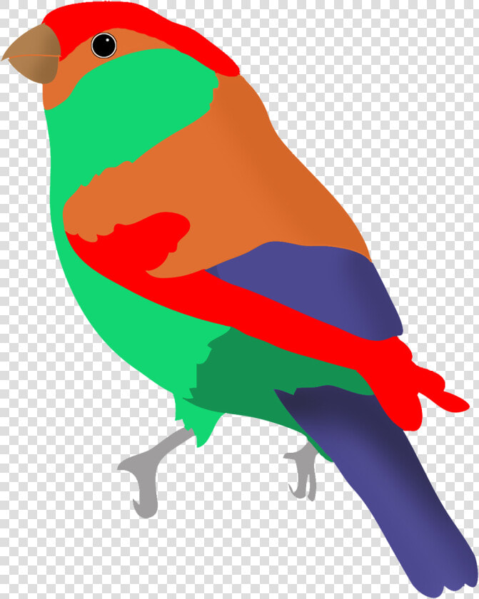 Colorful Bird In Fantasy Colors   Clipart Birds Flying Colorful Bird Transparent  HD Png DownloadTransparent PNG