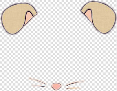  puppy  dog  ears  filter  cute  scanimalears   Snapchat Mouse Filter  HD Png DownloadTransparent PNG