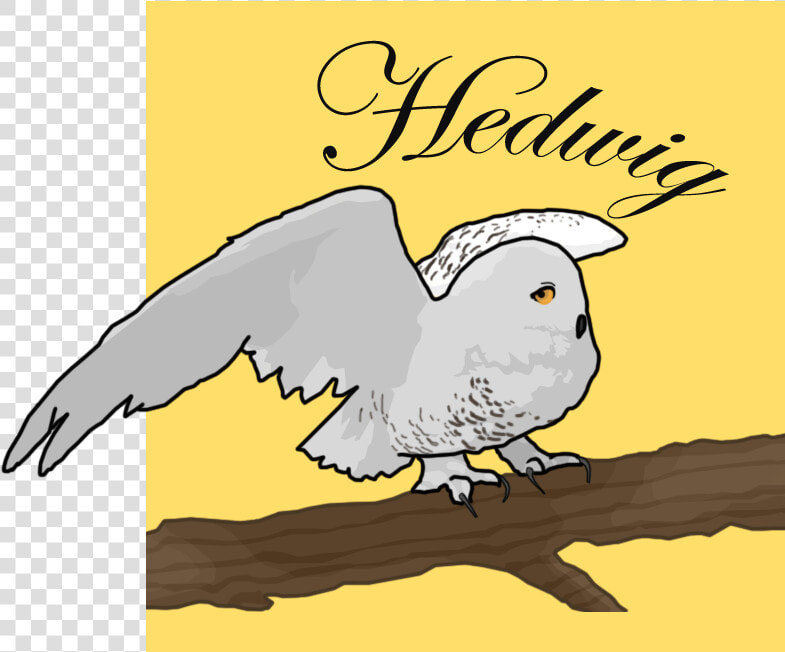 Transparent Hedwig Clipart  HD Png DownloadTransparent PNG