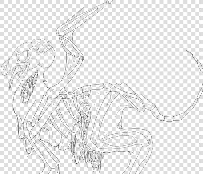 Line Art Sketch Color Drawing   Transparent Lineart To Color  HD Png DownloadTransparent PNG