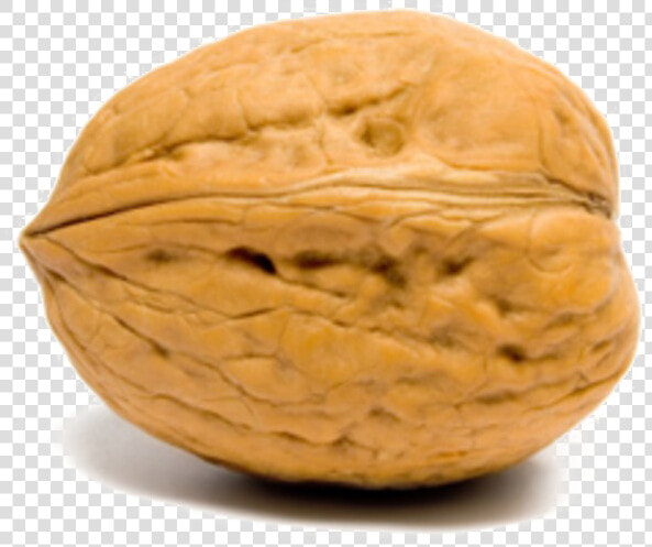 Walnut Transparent Images   Whole Walnut  HD Png DownloadTransparent PNG