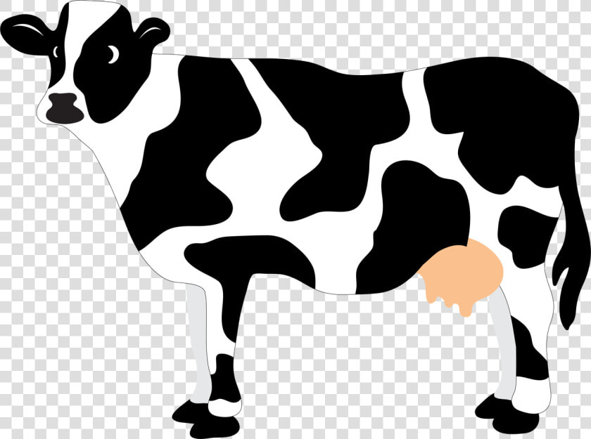 And Svg Cow   Cow Svg  HD Png DownloadTransparent PNG