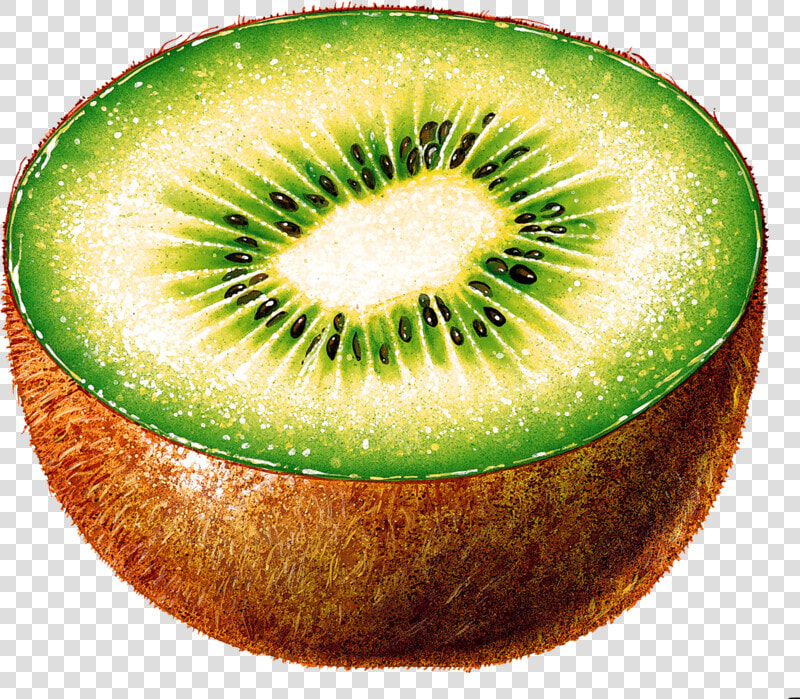 Kiwi Fruit Background Pictures Transparent   Kiwi Cut In Half  HD Png DownloadTransparent PNG