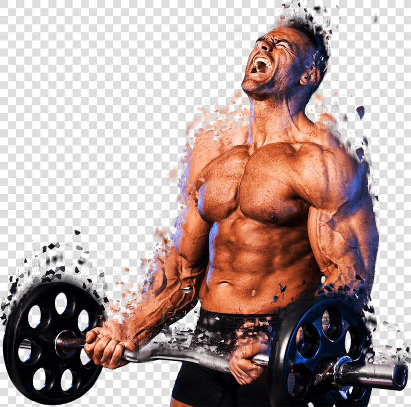 Bodybuilder Images Hd Png  Transparent PngTransparent PNG