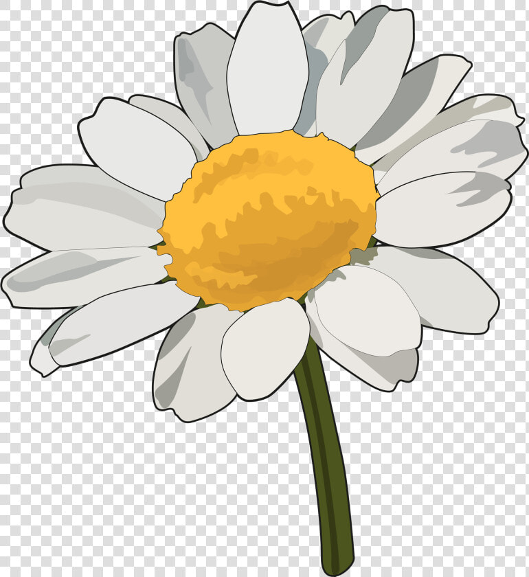 Wallpapers De Flores Tumblr Para Fondo De Pantalla   Flores Con Tallo Png  Transparent PngTransparent PNG