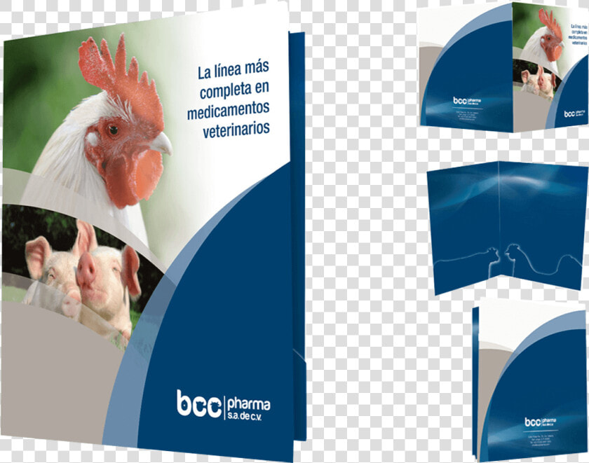 Brochure   Png Download   Diseño De Folders Institucionales  Transparent PngTransparent PNG