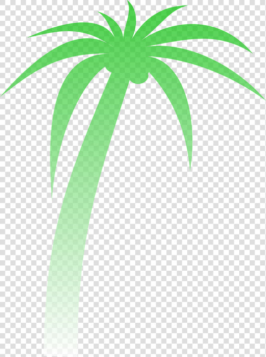 Palm Palmera Degradado Verde Tropicales Árbol   Palm Tree Clip Art  HD Png DownloadTransparent PNG