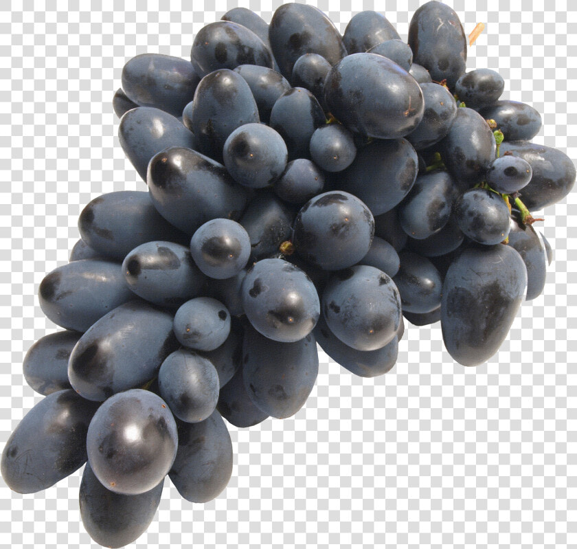 Black Grapes   Png Виноград Без Фона  Transparent PngTransparent PNG