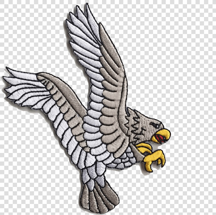 Osprey  HD Png DownloadTransparent PNG