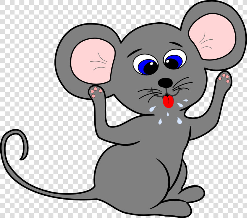 Cartoon Mouse Free Download Clip Art Free Clip Art   Cartoon Mouse Transparent Background  HD Png DownloadTransparent PNG