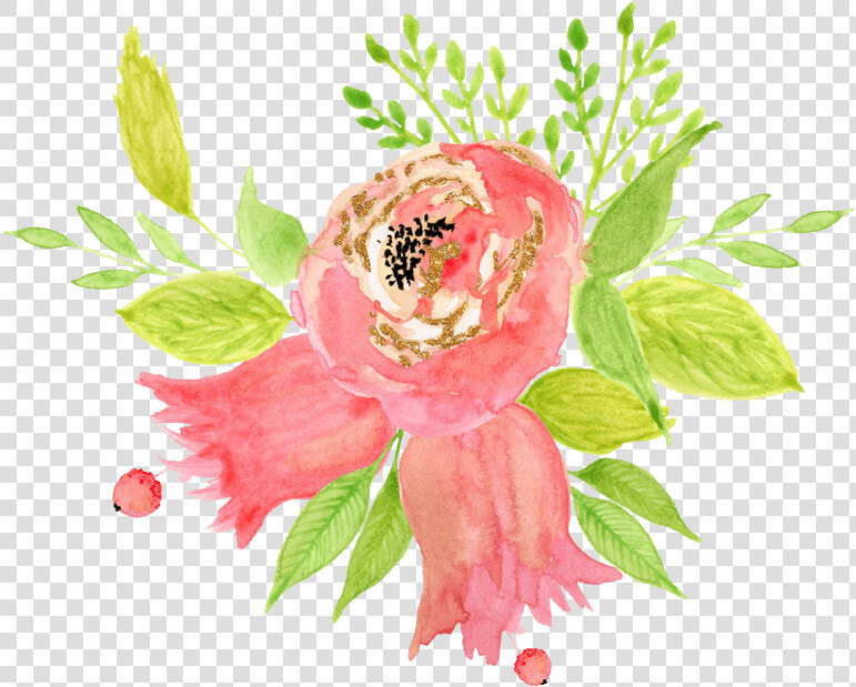 中国风荷花水彩画   Common Peony  HD Png DownloadTransparent PNG