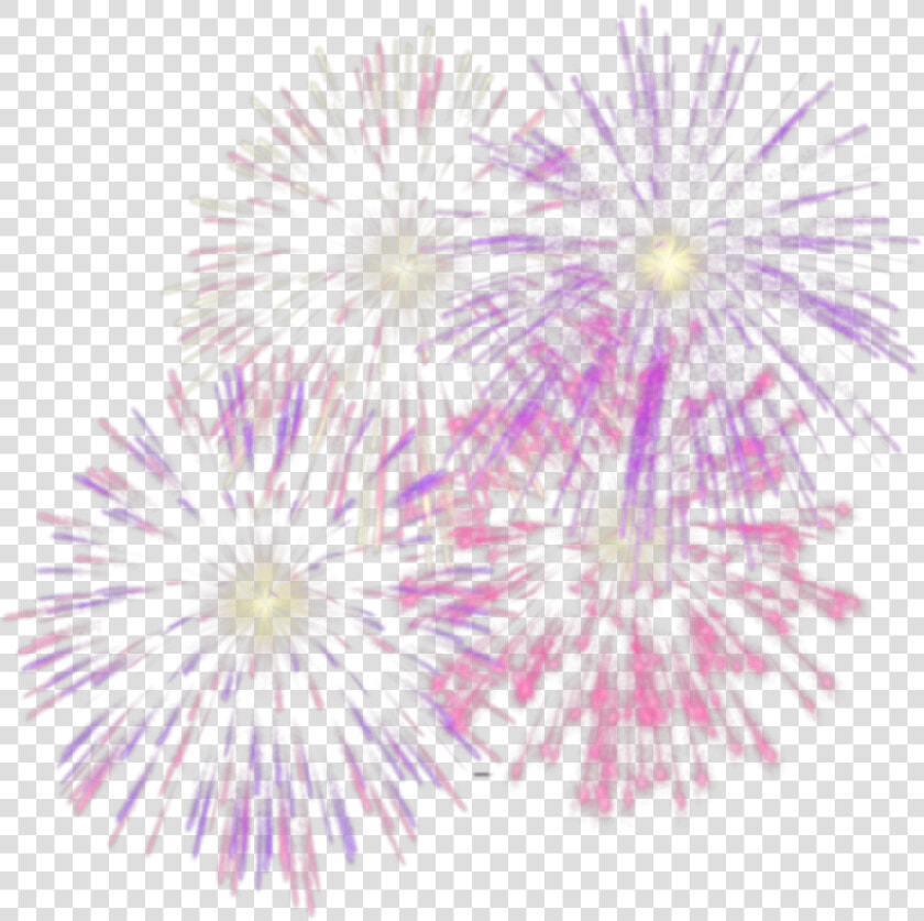  freetoedit  pink  purple  fireworks   Pink Fireworks Transparent Background  HD Png DownloadTransparent PNG