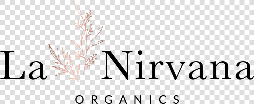 Transparent Nirvana Png   Clean Sweep  Png DownloadTransparent PNG