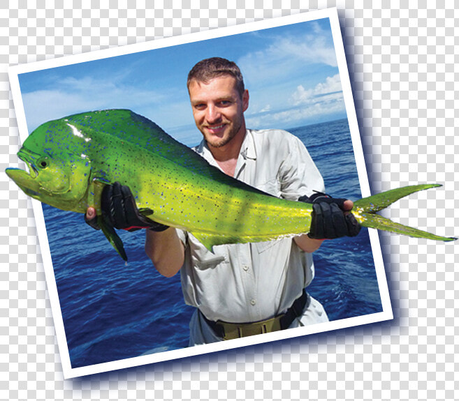 Transparent Mahi Mahi Png   Fisherman  Png DownloadTransparent PNG