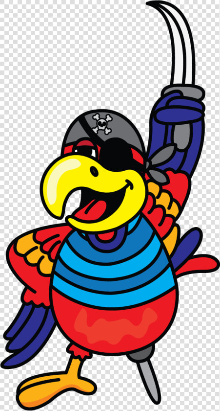 Pirate Parrot Drawing   Cartoon Pirate Parrot Drawing  HD Png DownloadTransparent PNG