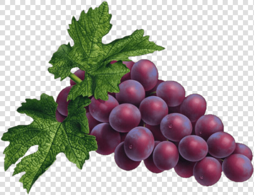 Grapes Png Images Transparent Background   Transparent Grapes Png  Png DownloadTransparent PNG