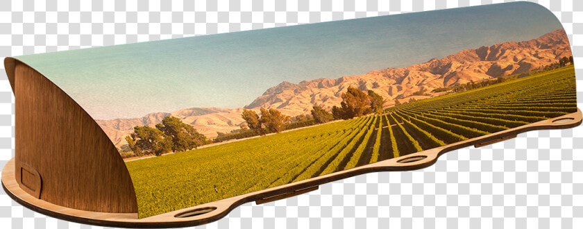 Artisan Vineyard  HD Png DownloadTransparent PNG