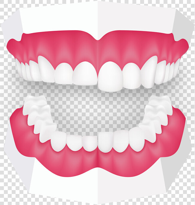 Tooth Grinding Toothbeary   Mouth Guard Clipart  HD Png DownloadTransparent PNG