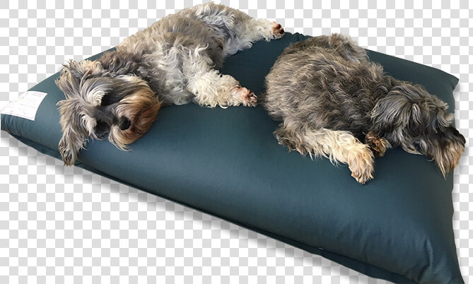 Dog bed   Png Pet Bed  Transparent PngTransparent PNG