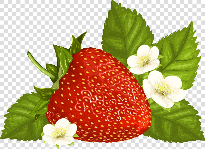 Strawberry Png Clipart Image   Strawberries Graphic Free Transparent  Png DownloadTransparent PNG