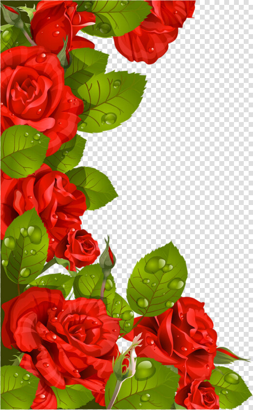 Transparent Beautiful Flower Clipart   Rose Clipart Flower Border  HD Png DownloadTransparent PNG