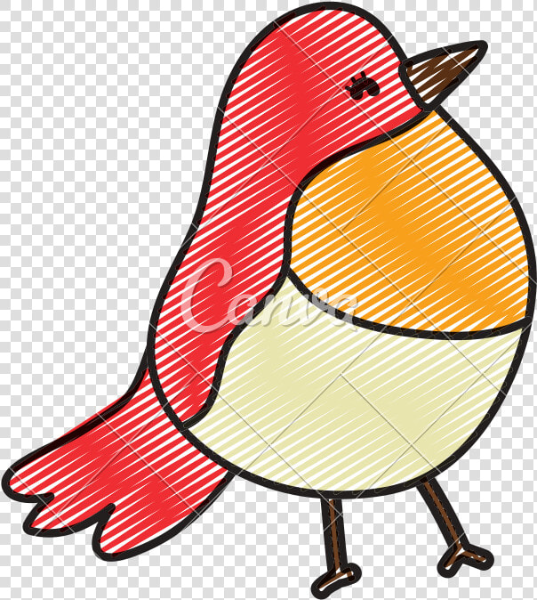 Doodle Beauty Tropical Bird Exotic Animal   Cartoon  HD Png DownloadTransparent PNG