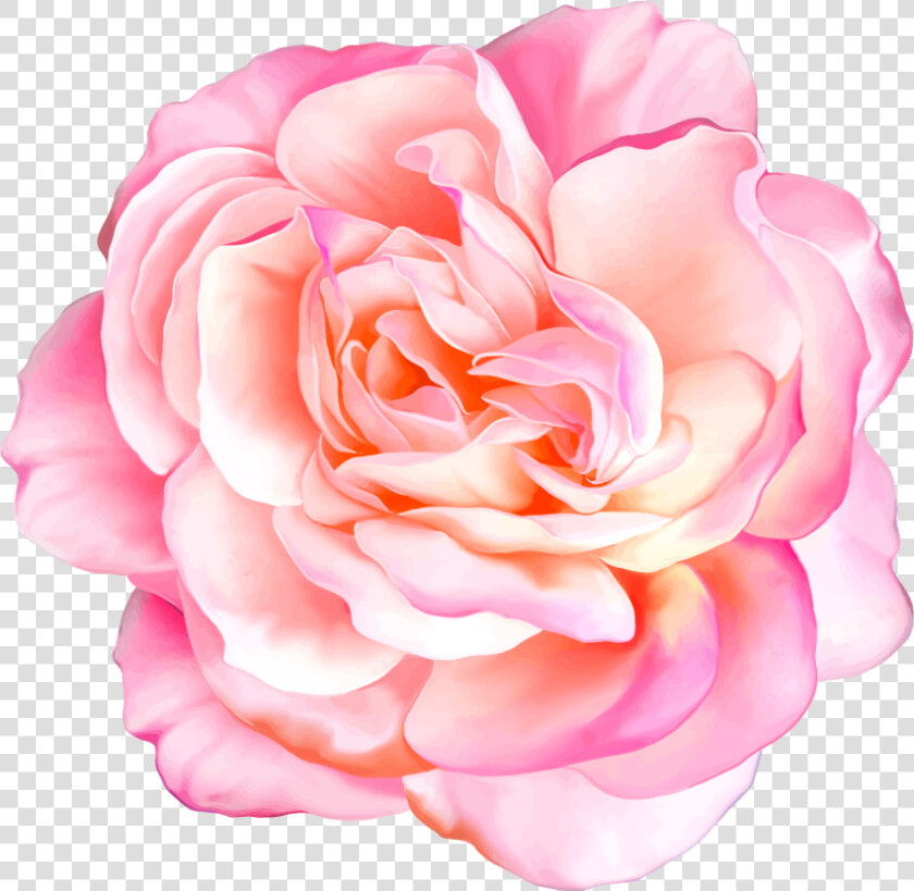 Png Клипарт Beautiful Flowers   Realistic Flowers  Transparent PngTransparent PNG