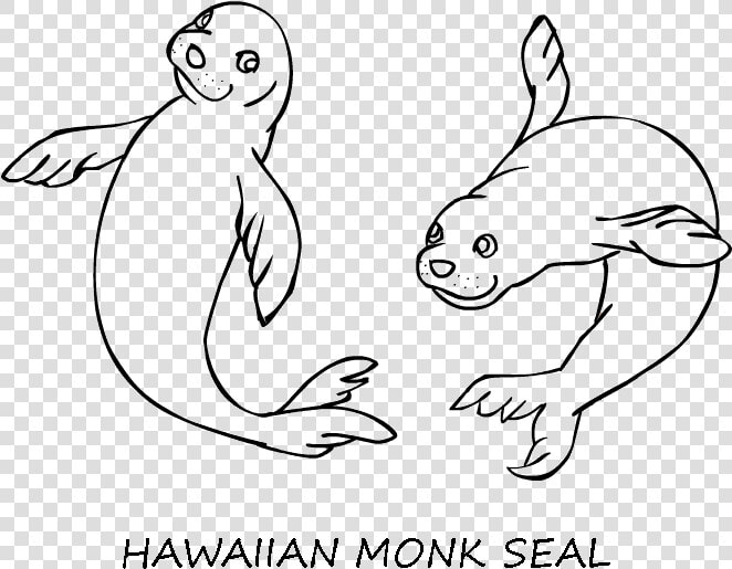 Monk The Little Dog Lhasa Apso Coloring Page  Printable   Hawaiian Monk Seal Drawing  HD Png DownloadTransparent PNG