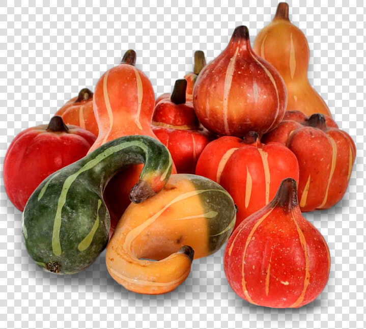 Pumpkin  Fall  Autumn  Harvest  Thanksgiving  Season   Calabaza  HD Png DownloadTransparent PNG