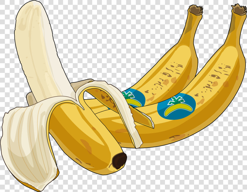 Platano Drawing  HD Png DownloadTransparent PNG