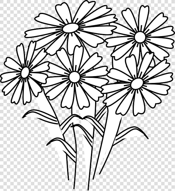 White Flower Clipart 5 Flower   Drawing Of Flower Composition  HD Png DownloadTransparent PNG