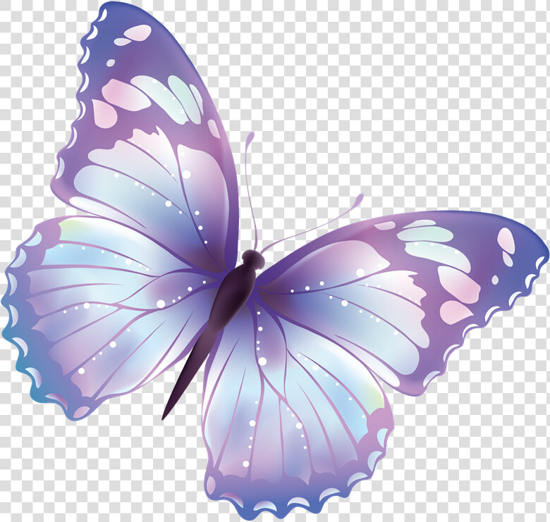 Buscar Con Google   Butterfly Clipart Transparent Background  HD Png DownloadTransparent PNG