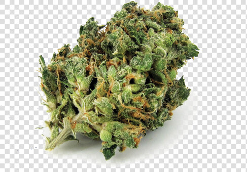 Hazel Pie   Nug Of Weed Png  Transparent PngTransparent PNG