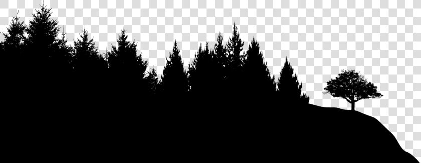 Nature Clipart Dark Forest Free   Forest Silhouette Transparent Background  HD Png DownloadTransparent PNG