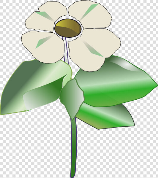 Pacific Dogwood Clipart  HD Png DownloadTransparent PNG