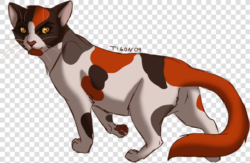 Calico Cat Clipart   Red And Black Warrior Cat  HD Png DownloadTransparent PNG