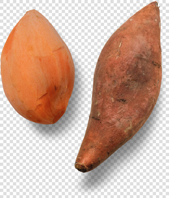 Ingredient sweetpotato   Earrings  HD Png DownloadTransparent PNG